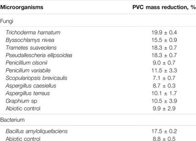 Biodeterioration of Compost-Pretreated Polyvinyl Chloride Films by Microorganisms Isolated From Weathered Plastics